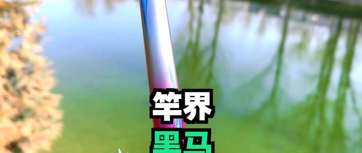 碳布T数到底啥意思？看完这篇选竿不再被忽悠