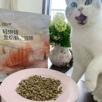 花31块买烘焙粮值不值？猫咪吃了两月说说心里话