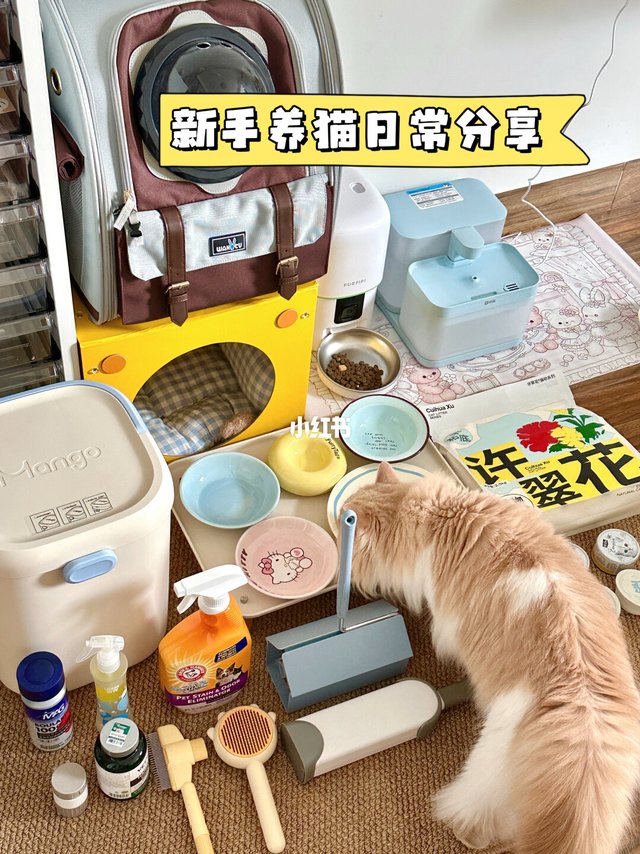 新手养猫日常爱用物分享🐈