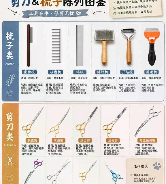 新手买宠物美容工具别再踩坑！两大大坑+选对指南，少花冤枉钱