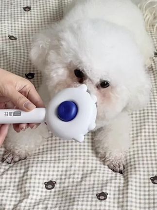 花几十块买自洁梳值不值？6款真实测评告诉你答案
