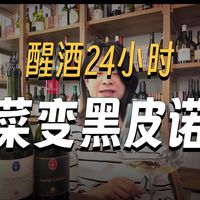 红酒入门别踩坑！黑皮诺开瓶即饮、百元好喝，配餐万能，新手首选