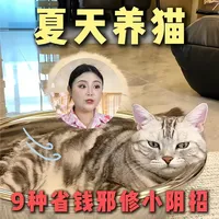 封窗安全与猫砂实测 | 养猫7.29日报