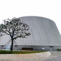 深圳自然博物馆、浙博太平年大展 | 博物馆探秘7.29日报