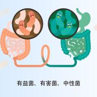 外卖正在悄悄摧毁你的肠道“生态防线”