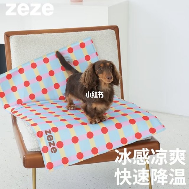狗狗降温神器｜物理冰感冰垫安全不冻肤
