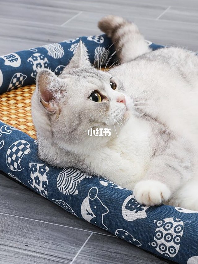 夏天养宠人必入！我家猫直接焊在这个凉席窝