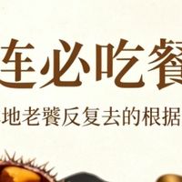 大连必吃餐厅｜本地老饕反复去的根据地（海胆水饺是真鲜甜）