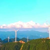 送长辈茶叶礼盒，这3种“高档包装”正在减分