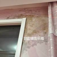 查漏报告:发霉的原因，不单是潮湿还有渗漏！