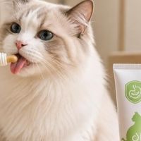 猫咪化毛膏京东渠道可靠性与服务分析