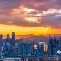 英德红茶是什么？从历史到工艺一篇看懂广东名茶特色