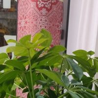 总觉得自己“虚”但说不清？老中医一张表说清楚了