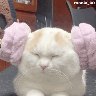 洗猫到底怎么定价？30块尾巴费背后藏着你不知道的行业账