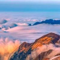 补脑DHA 什么牌子效果好？2026 真实用户口碑，优质藻油盘点
