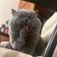 猫咪咬完马上舔，不是愧疚，是在用猫语说爱你
