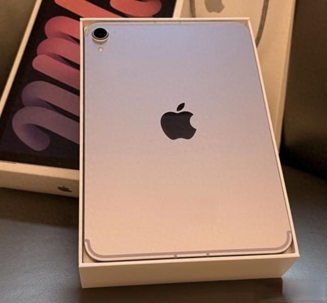 二手iPad mini 6跌到1200了：2026年买平板，二手苹果香还是安卓新机香？