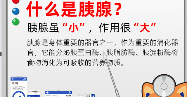 犬猫胰腺外分泌不足的应对方法