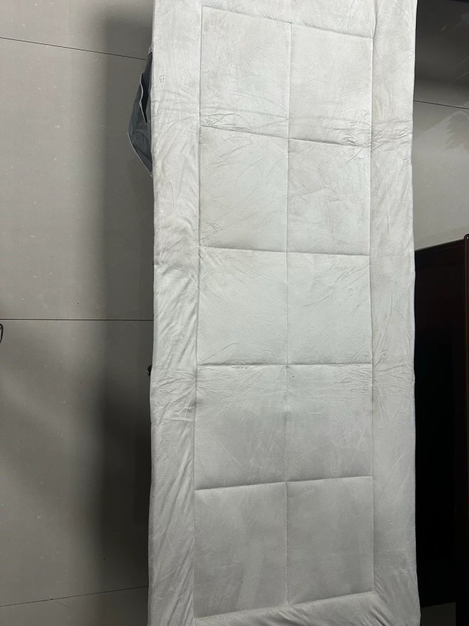 可芝床类