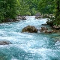 盛夏外勤带看全天户外奔走，温和植萃净味好物维持体面