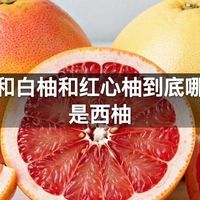 西柚和白柚和红心柚到底哪一种是西柚
