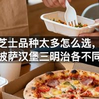 芝士品种太多怎么选，披萨汉堡三明治各不同