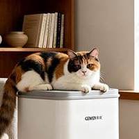 猫毛空气净化器哪个好？2026年十大公认高口碑的宠物空气净化器
