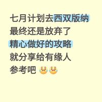 本J人花24h做的西双版纳攻略已next level了