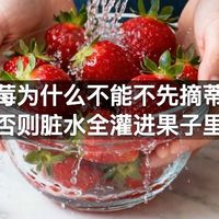 洗草莓为什么不能不先摘蒂头，否则脏水全灌进果子里