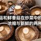 干香菇和鲜香菇在炒菜中的巨大差异——浓缩与新鲜的两种哲学