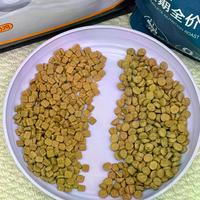 领先烘焙猫粮怎么选？蓬蓬袋美毛、壮壮袋护肠、羊奶鸡兜底，对号入座不踩坑