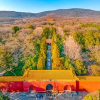 明孝陵秋天封神！石象路600米封神级秋色，70元门票说清楚