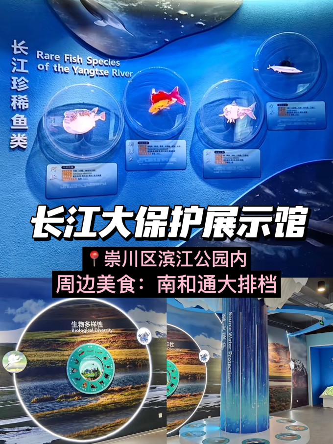 国内度假