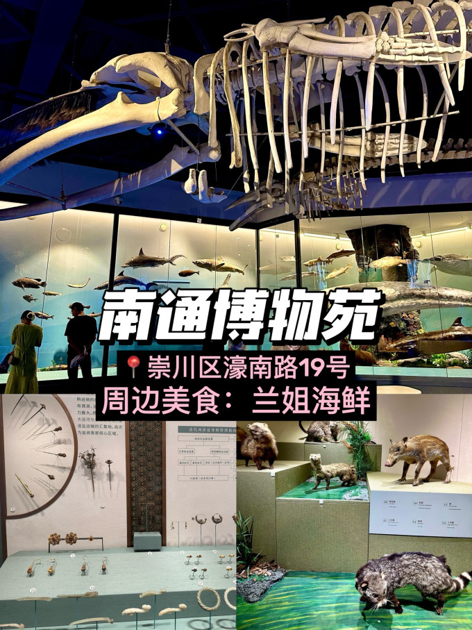 国内度假