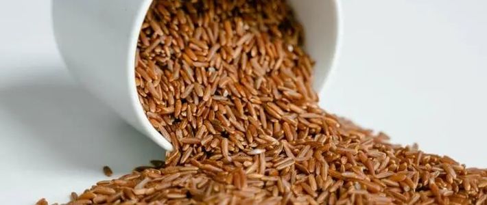 白米糙米热量差几大卡？减脂期主食选择别再纠结了
