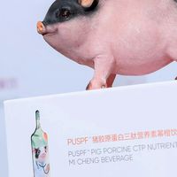2026 胶原蛋白新风向：医美胶原易流失璞见 SPF猪活性胶原三肽饮