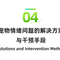 狗狗发抖夹尾巴是在求救！别再用错方法害它了