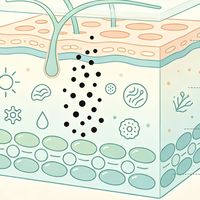 皮肤暗沉发黑？科学搞定全身提亮