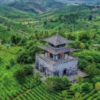 200块在普洱怎么玩？老玩家带你解锁两天一夜穷游攻略