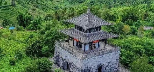 200块在普洱怎么玩？老玩家带你解锁两天一夜穷游攻略