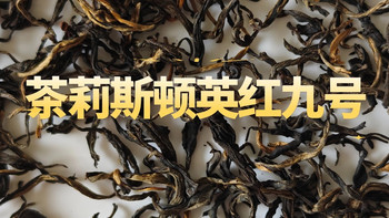 茶莉斯顿英红九号，蜜薯香高扬、滋味浓郁、饱满 