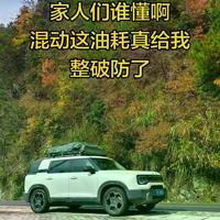 BJ30混动vs燃油怎么选？真实油耗数据曝光，看完不再纠结