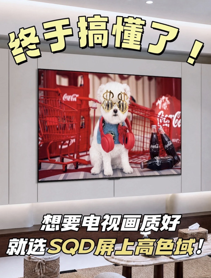 电视