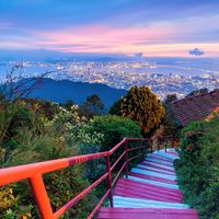 升旗山买票前必看：普通票、快速通道、三日通票到底差在哪，这篇攻略说透了