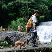 成都39℃热疯了!带毛孩子去西岭雪山避暑,后山前山到底怎么选?
