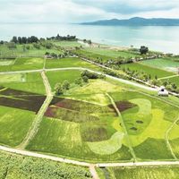 工业村→文艺田园！昆明福保村藏着滇池边最治愈的打卡地