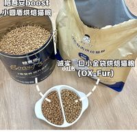 猫咪免疫粮怎么选？格吾安vs领先，体质弱和肠道差的各有答案