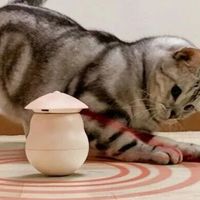 自动猫玩具总吃灰？选购核心就一条——运动不对，几百块也白搭