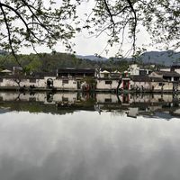 宏村门票藏了个大多数人不知道的省钱bug，住一晚拍两景才值回94元