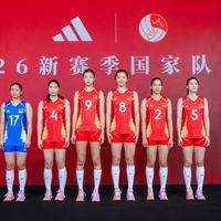 阿迪2026排球新战袍来了！国家队同款能买？对比后真相了